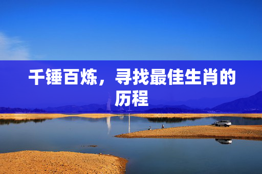 千锤百炼，寻找最佳生肖的历程