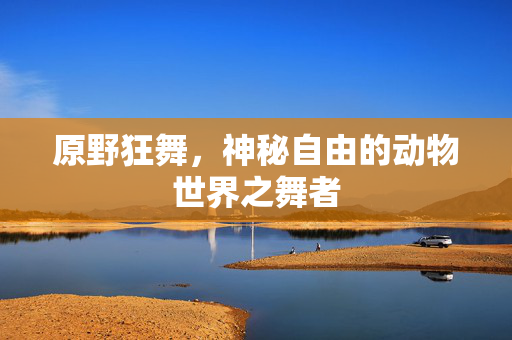 原野狂舞，神秘自由的动物世界之舞者