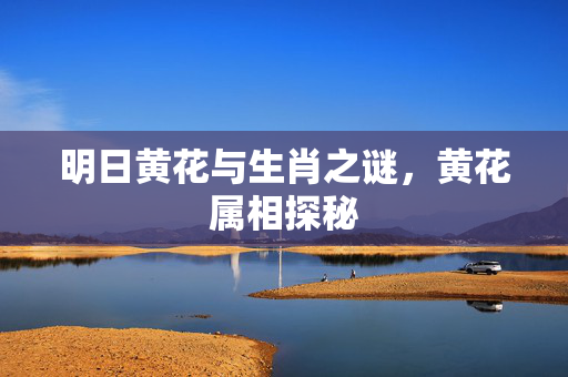 明日黄花与生肖之谜，黄花属相探秘