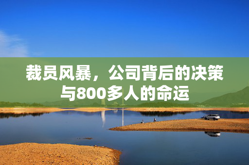 裁员风暴，公司背后的决策与800多人的命运