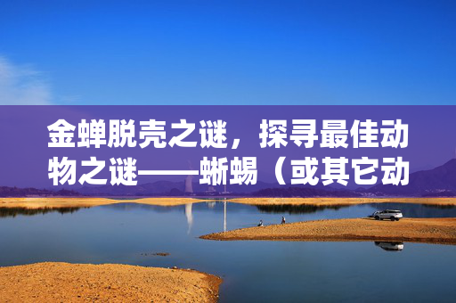 金蝉脱壳之谜，探寻最佳动物之谜——蜥蜴（或其它动物）的蜕变之谜。