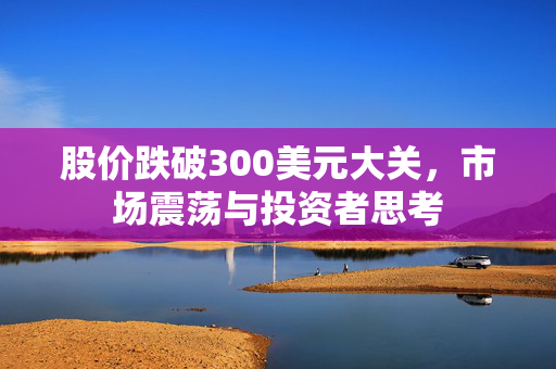 股价跌破300美元大关，市场震荡与投资者思考