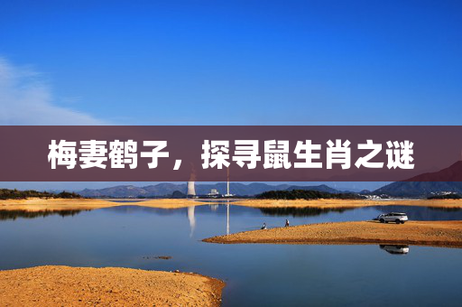 梅妻鹤子，探寻鼠生肖之谜