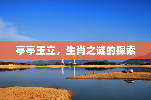亭亭玉立，生肖之谜的探索