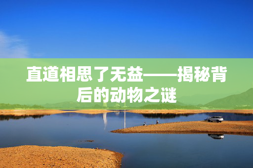 直道相思了无益——揭秘背后的动物之谜
