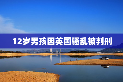 12岁男孩因英国骚乱被判刑