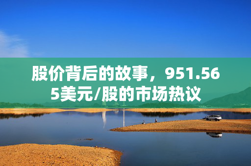股价背后的故事，951.565美元/股的市场热议