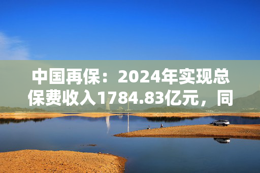 中国再保：2024年实现总保费收入1784.83亿元，同比增长0.9%