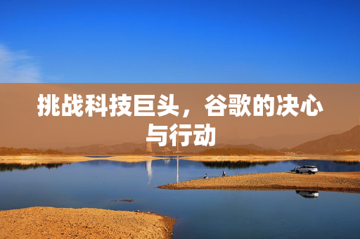 挑战科技巨头，谷歌的决心与行动