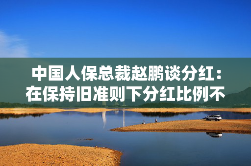 中国人保总裁赵鹏谈分红：在保持旧准则下分红比例不下降的基础上，实现每股分红的稳定增长