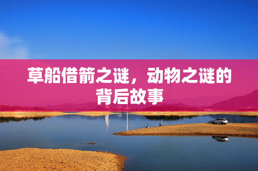 草船借箭之谜，动物之谜的背后故事
