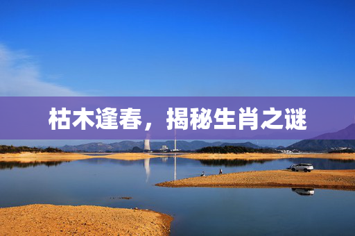 枯木逢春，揭秘生肖之谜