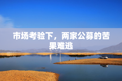 市场考验下，两家公募的苦果难逃