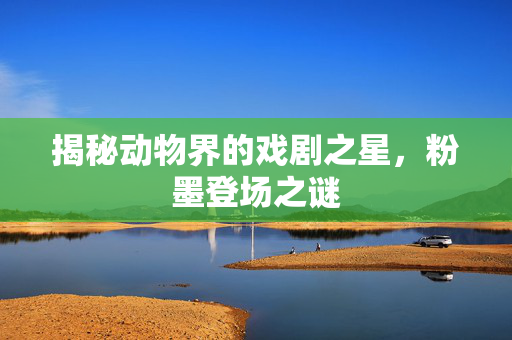 揭秘动物界的戏剧之星，粉墨登场之谜