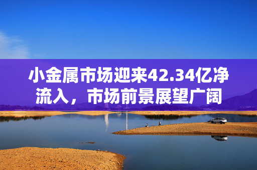 小金属市场迎来42.34亿净流入，市场前景展望广阔