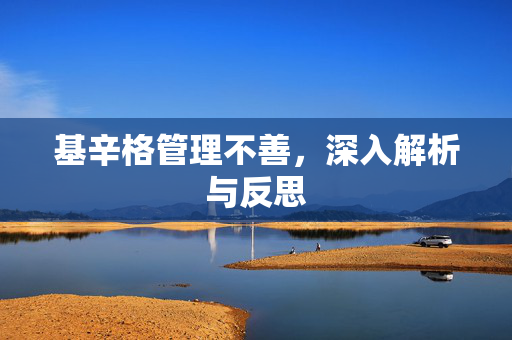 基辛格管理不善，深入解析与反思