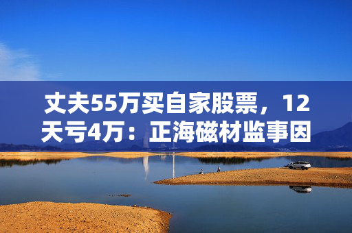 丈夫55万买自家股票，12天亏4万：正海磁材监事因短线交易被出具警示函