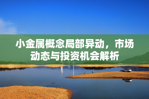小金属概念局部异动，市场动态与投资机会解析
