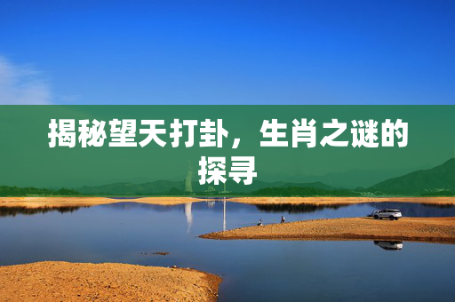 揭秘望天打卦，生肖之谜的探寻