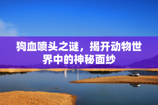 狗血喷头之谜，揭开动物世界中的神秘面纱