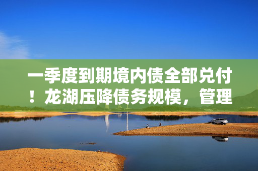 一季度到期境内债全部兑付！龙湖压降债务规模，管理层：今年是债务转换关键年