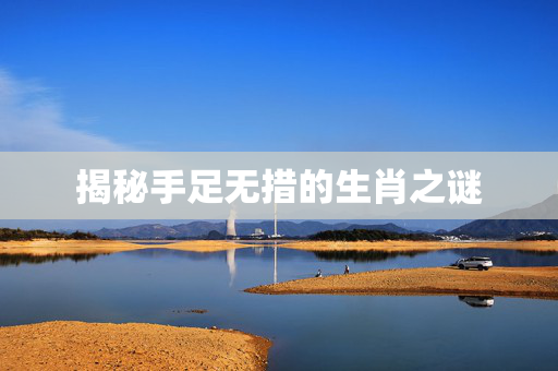 揭秘手足无措的生肖之谜