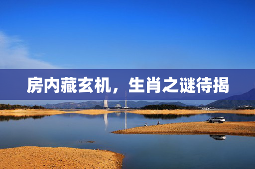 房内藏玄机，生肖之谜待揭