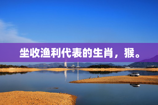 坐收渔利代表的生肖，猴。