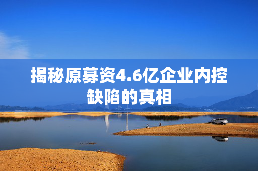 揭秘原募资4.6亿企业内控缺陷的真相