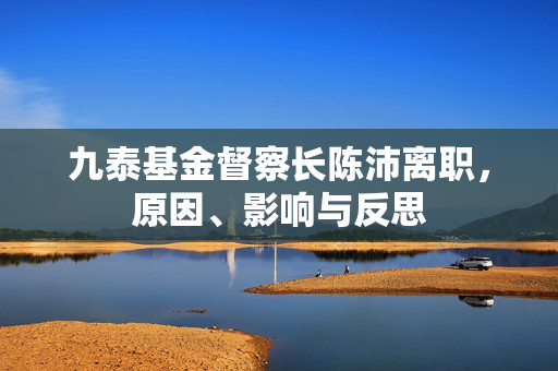 九泰基金督察长陈沛离职，原因、影响与反思