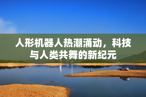 人形机器人热潮涌动，科技与人类共舞的新纪元