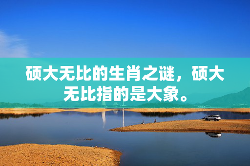 硕大无比的生肖之谜，硕大无比指的是大象。