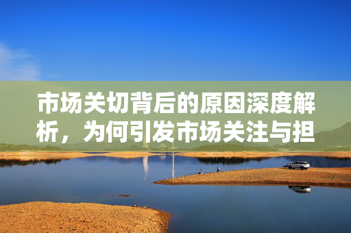 市场关切背后的原因深度解析，为何引发市场关注与担忧？
