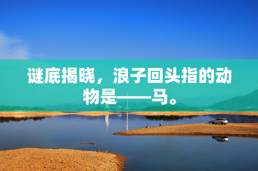 谜底揭晓，浪子回头指的动物是——马。