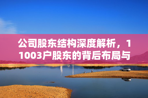公司股东结构深度解析，11003户股东的背后布局与影响