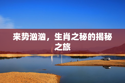 来势汹汹，生肖之秘的揭秘之旅
