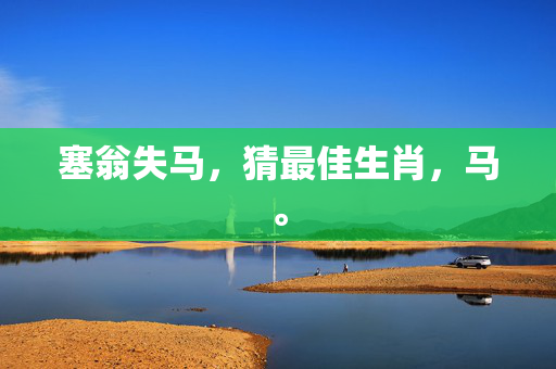 塞翁失马，猜最佳生肖，马。