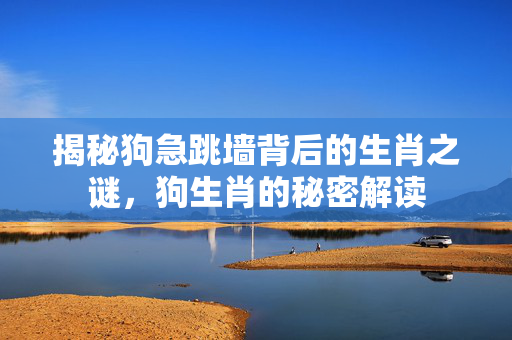 揭秘狗急跳墙背后的生肖之谜，狗生肖的秘密解读