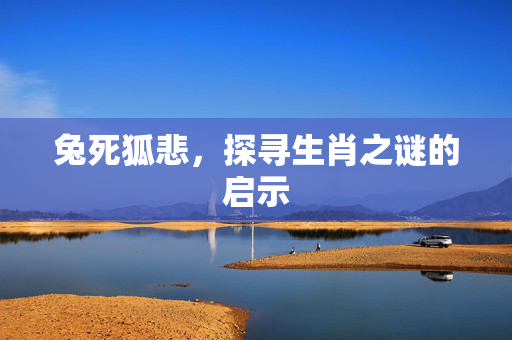 兔死狐悲，探寻生肖之谜的启示