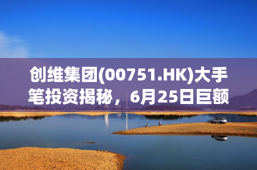 创维集团(00751.HK)大手笔投资揭秘，6月25日巨额资金流向