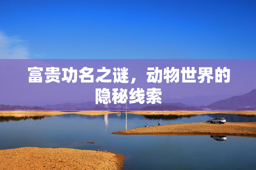 富贵功名之谜，动物世界的隐秘线索