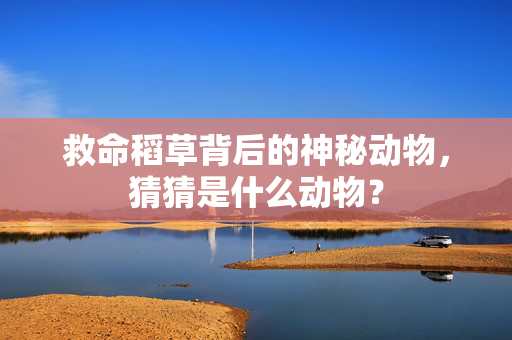 救命稻草背后的神秘动物，猜猜是什么动物？