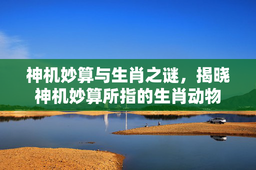 神机妙算与生肖之谜，揭晓神机妙算所指的生肖动物