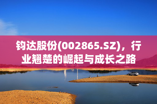钧达股份(002865.SZ)，行业翘楚的崛起与成长之路