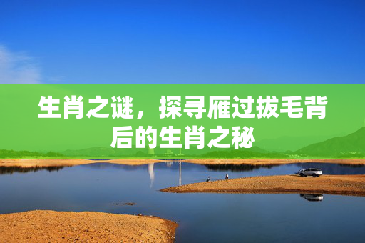生肖之谜，探寻雁过拔毛背后的生肖之秘