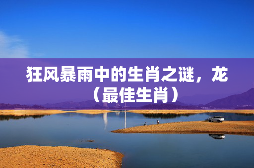 狂风暴雨中的生肖之谜，龙（最佳生肖）
