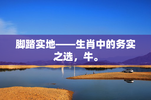 脚踏实地——生肖中的务实之选，牛。