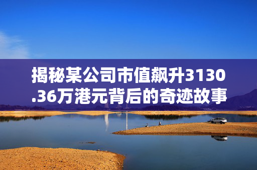 揭秘某公司市值飙升3130.36万港元背后的奇迹故事