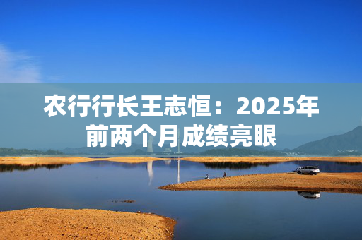 农行行长王志恒：2025年前两个月成绩亮眼