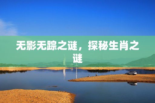 无影无踪之谜，探秘生肖之谜